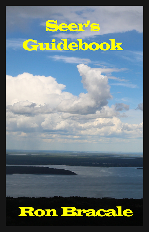 Seer's_Guidebook_800x600.jpg
